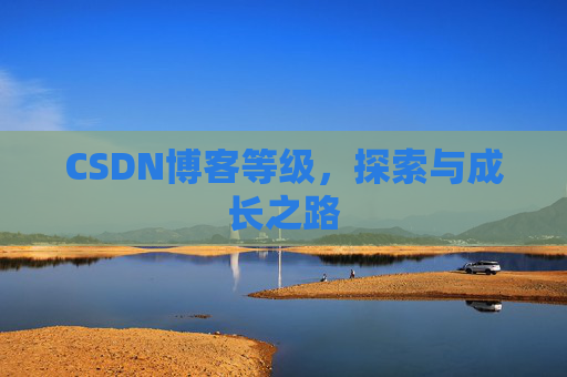 CSDN博客等级，探索与成长之路